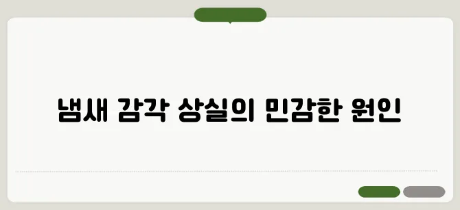 냄새를 못 맡는 증상 원인과 치료 방법