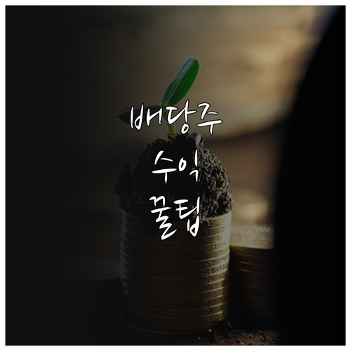 배당주 투자 수익을 높이는 종목 선정..