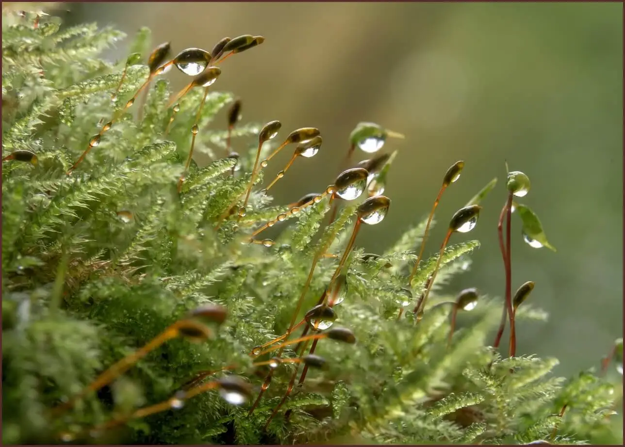 저축은행 정기예금 금리비교