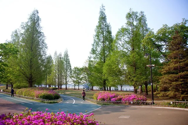 일산 가볼만한곳 베스트10 숨겨진 명소_4