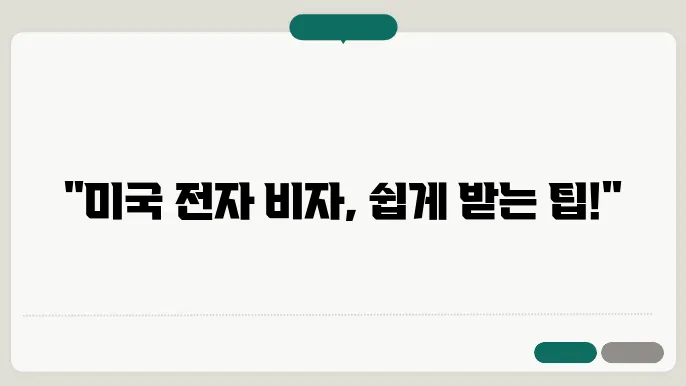 미국 전자 비자 신청