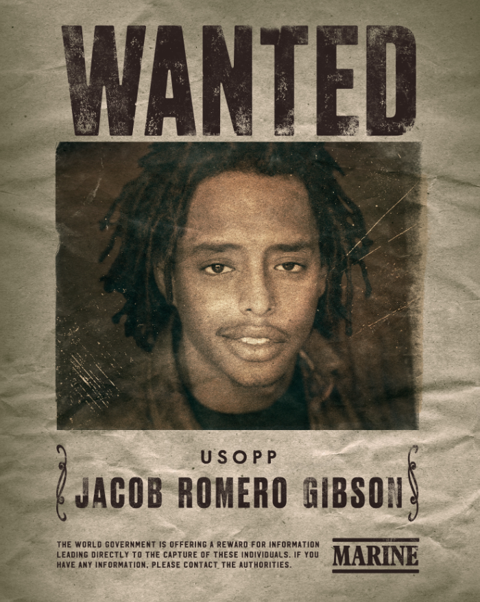 원피스 실사화 출연배우 캐스팅