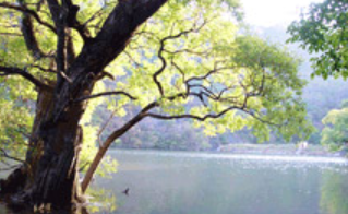 청송 주왕산국립공원 & 대전사 관련 사진