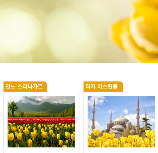태안 튤립축제