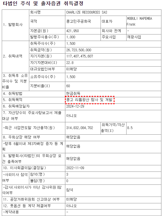 금양 콩고 리튬광산 채굴 업체 인수사항