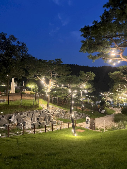 용인 반려견 산책 어디가 좋을까? 겨울에도 걷기 좋은 명소 추천