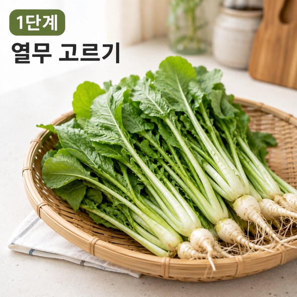 열무김치 맛있게 담그기