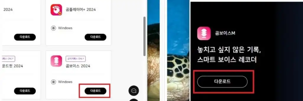 곰보이스 다운로드