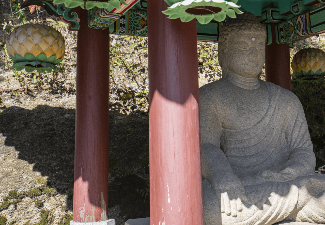 청와대 관람 신청