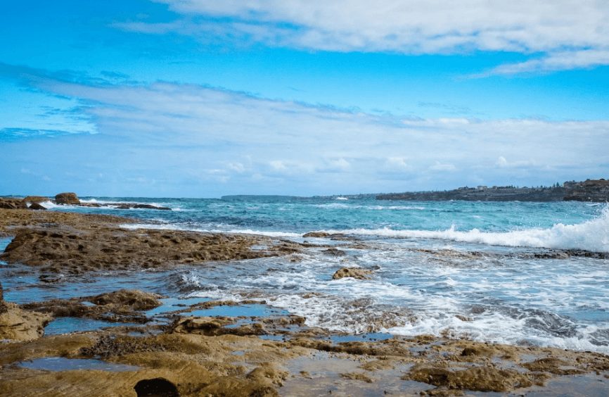 본다이 비치에서 서핑을 즐기는 모습