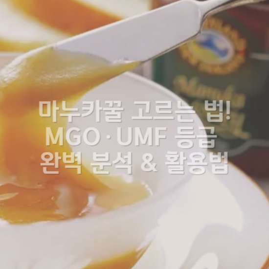 마누카꿀 고르는 법! MGO&middot;UMF 등급 완벽 분석 &amp; 활용법2
