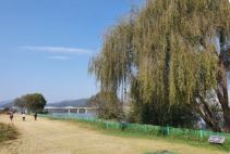 군위파크골프장 예약하기