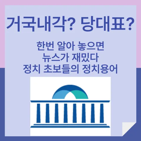 거국내각 거국내각뜻 당대표 당대표뜻 원내대표 원내대표 뜻