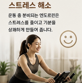 실내자전거 운동 효과
