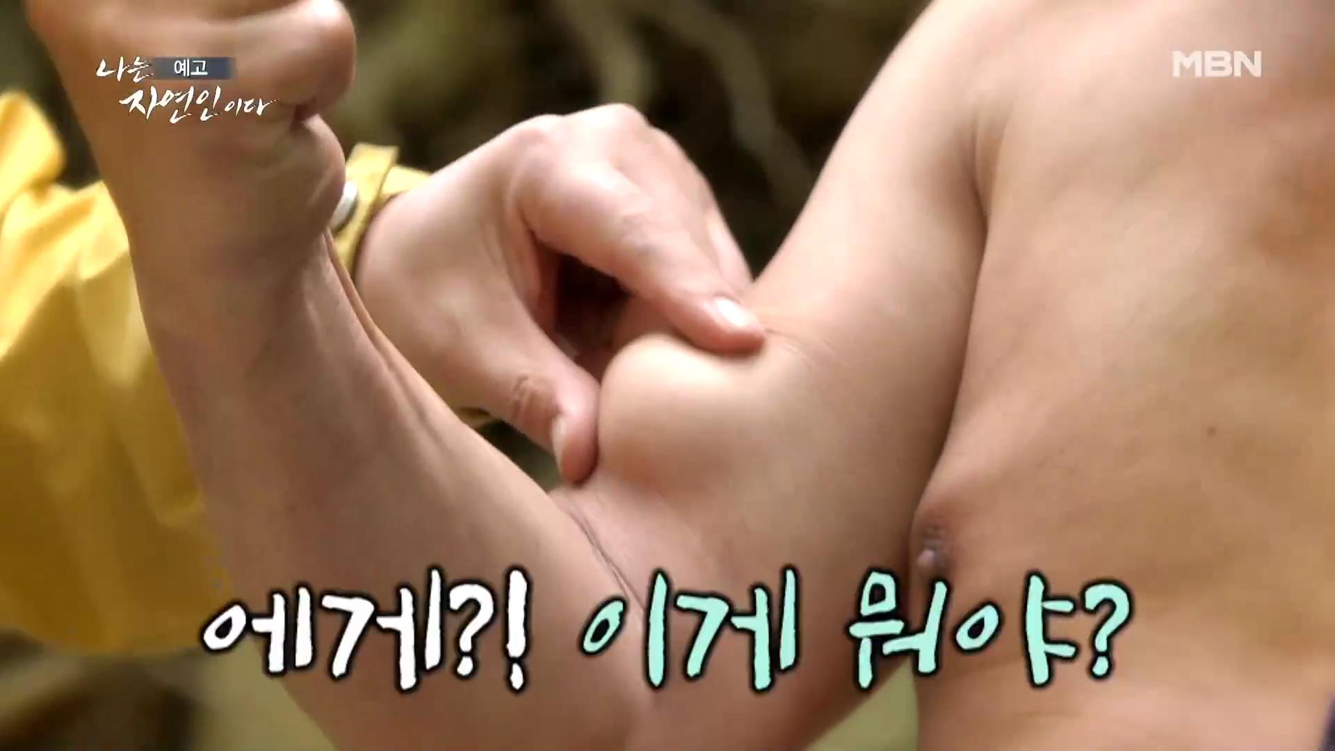 나는 자연인이다 다시 만난 자연인 특집 알몸 계곡 입수 솔방울 골프 신불산 이도사 자연인 이강우 소개 및 윤택 출연 553회 다시보기