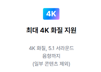 쿠팡플레이 시청