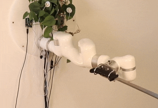 살아있는 식물이 로봇 칼을 움직인다 VIDEO: Living plant controls a machete through an industrial robot arm