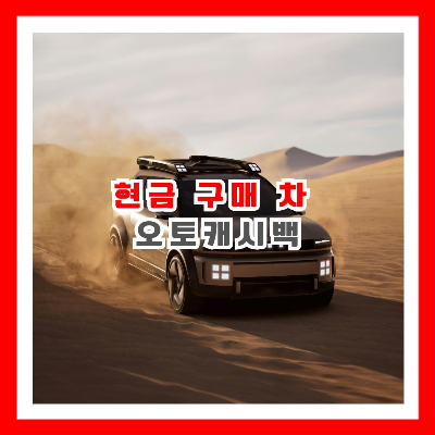 사막을 달리는 현대 자동차