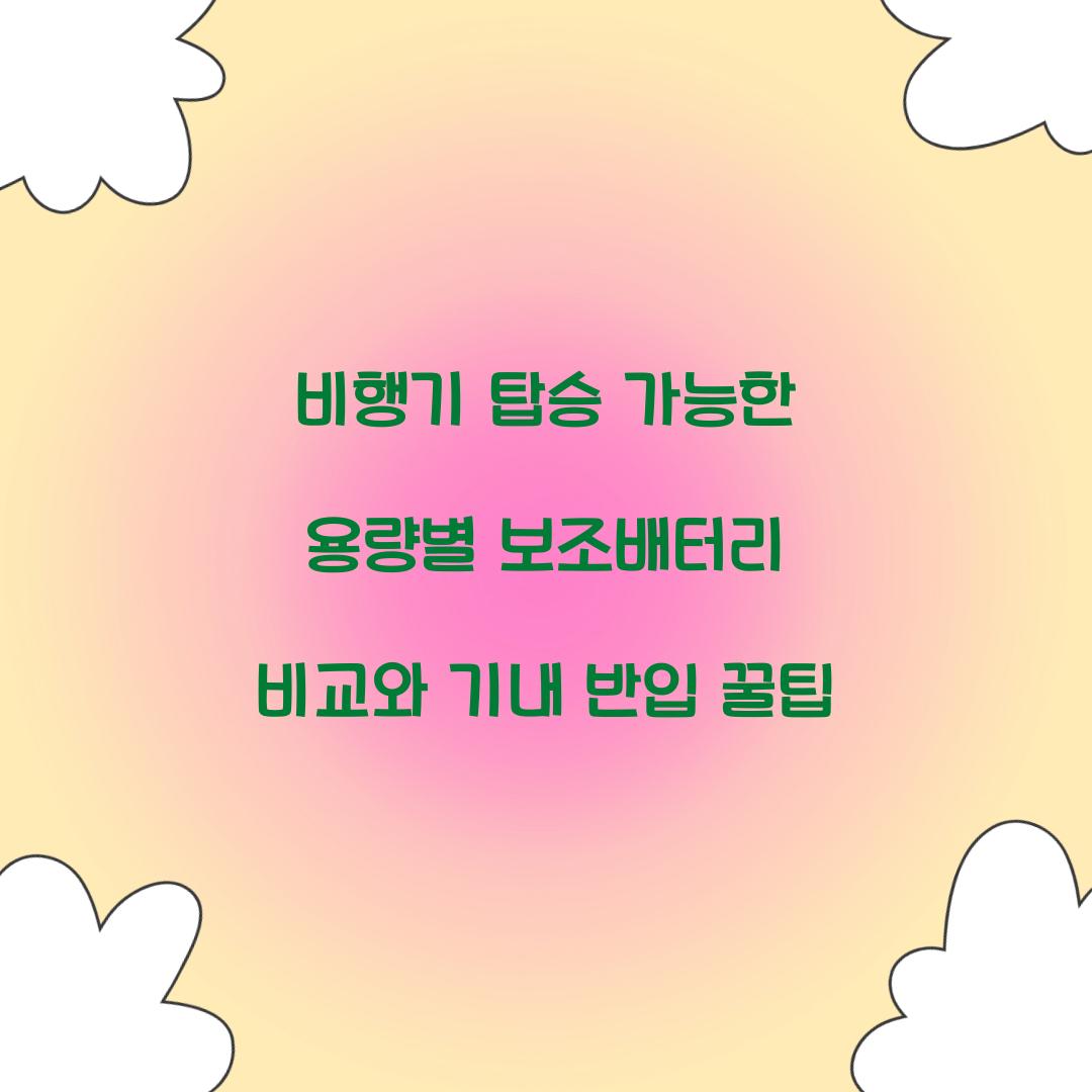 비행기 탑승 가능한 용량별 보조배터리 비교