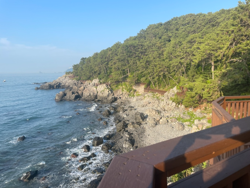 동백섬 해안산책로와 부산 바다