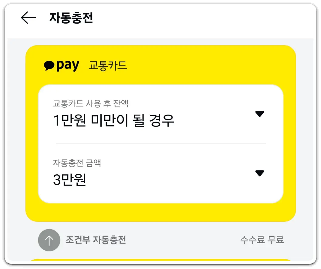 카카오페이-사용법-모바일-교통카드-발급-충전-방법