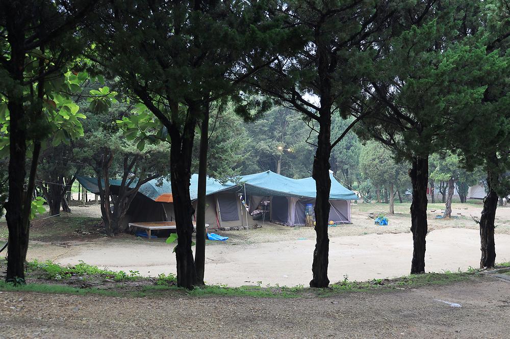 경기도 평택시 갈릴리 야영장 소개