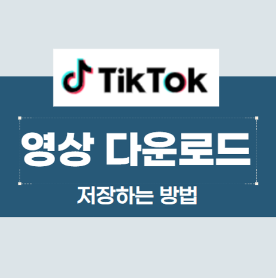 틱톡 영상 다운 (틱톡 저장 방법)