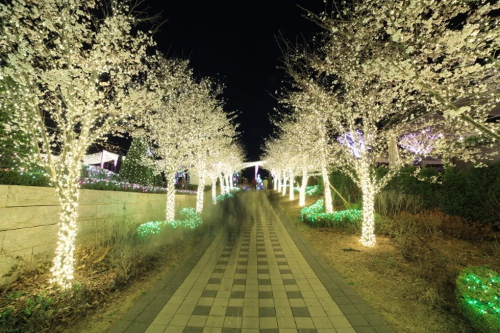 퍼스트가든봄꽃축제