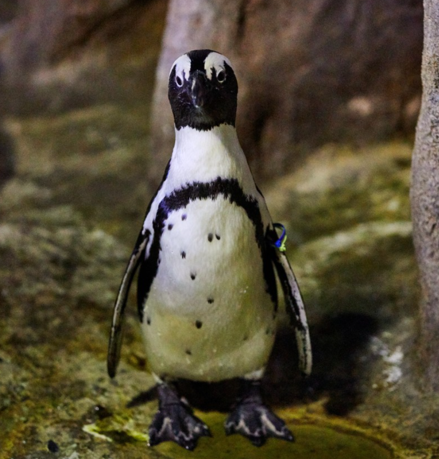 부산 씨라이프 아쿠아리움