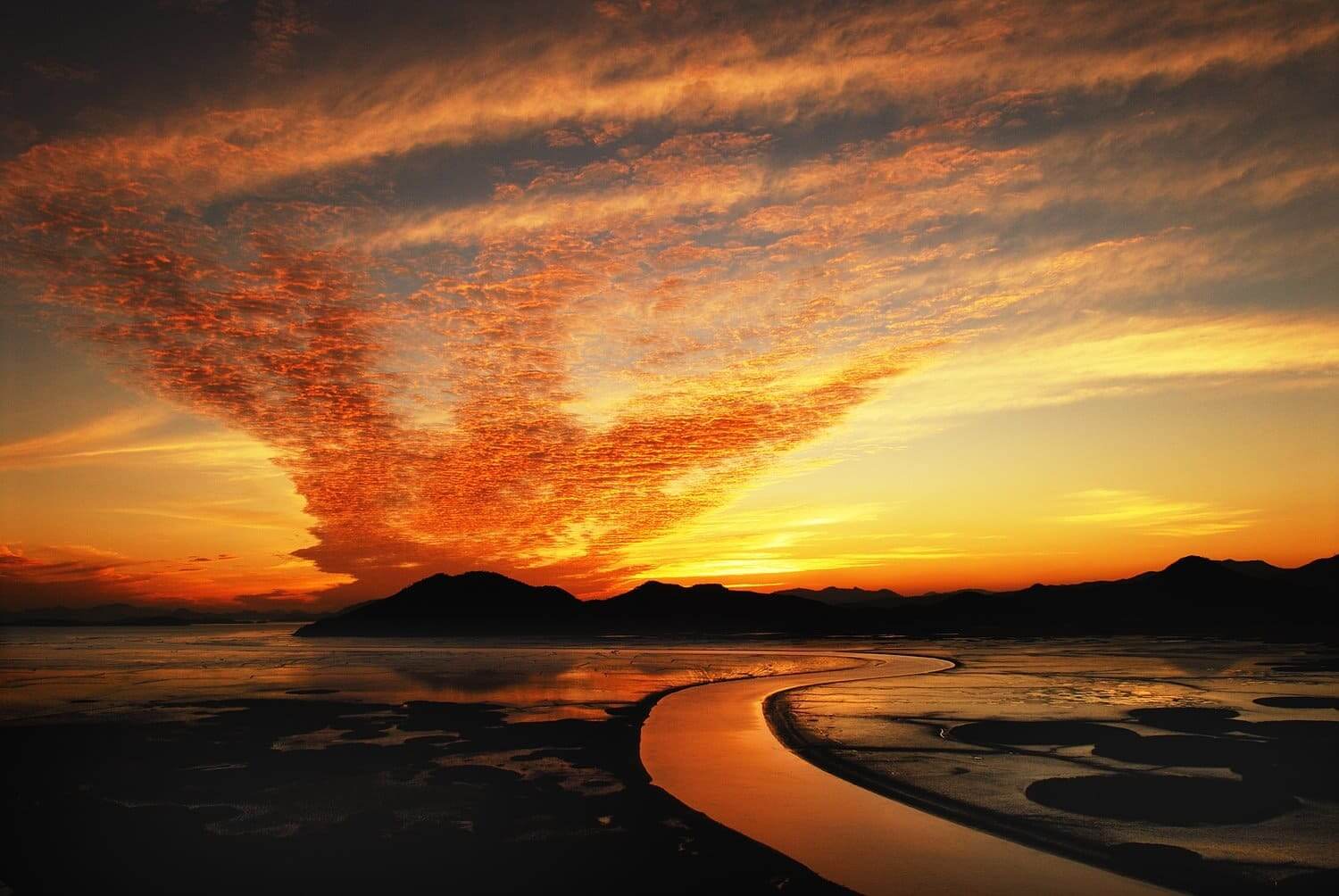 순천만 습지 용산전망대