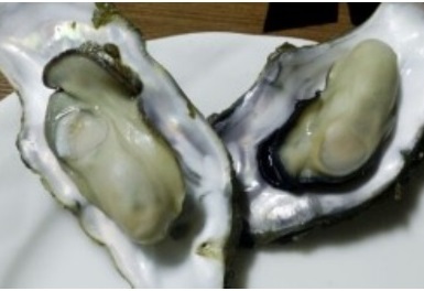 무한리필-굴찜4 