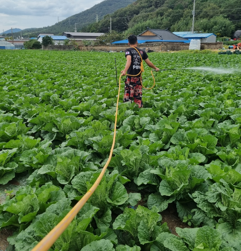 농촌 일자리 플러스