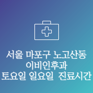 서울 마포구 노고산동 이비인후과 주말 토요일 일요일 문여는 병원 진료시간
