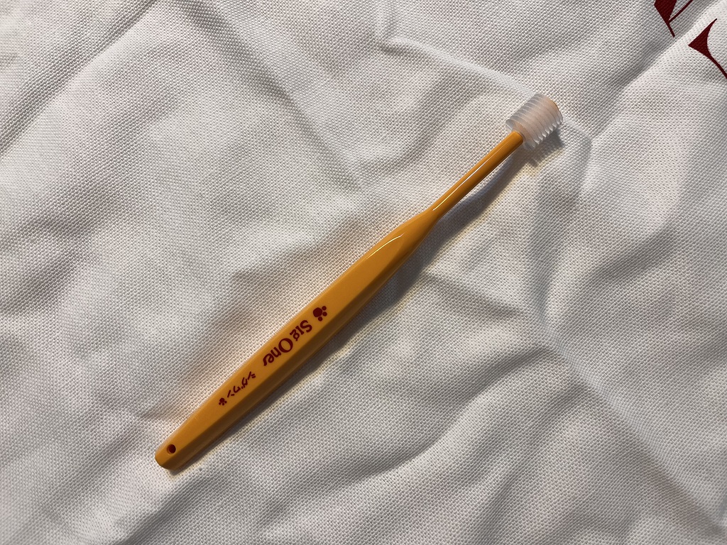 비바텍-시그윈-강아지-칫솔