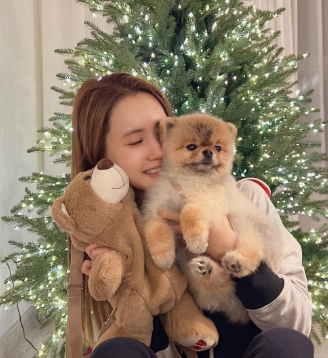 이다해 강아지