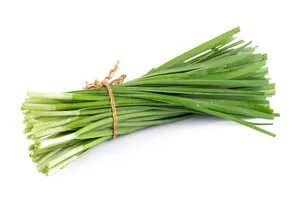 간암에-좋은-음식