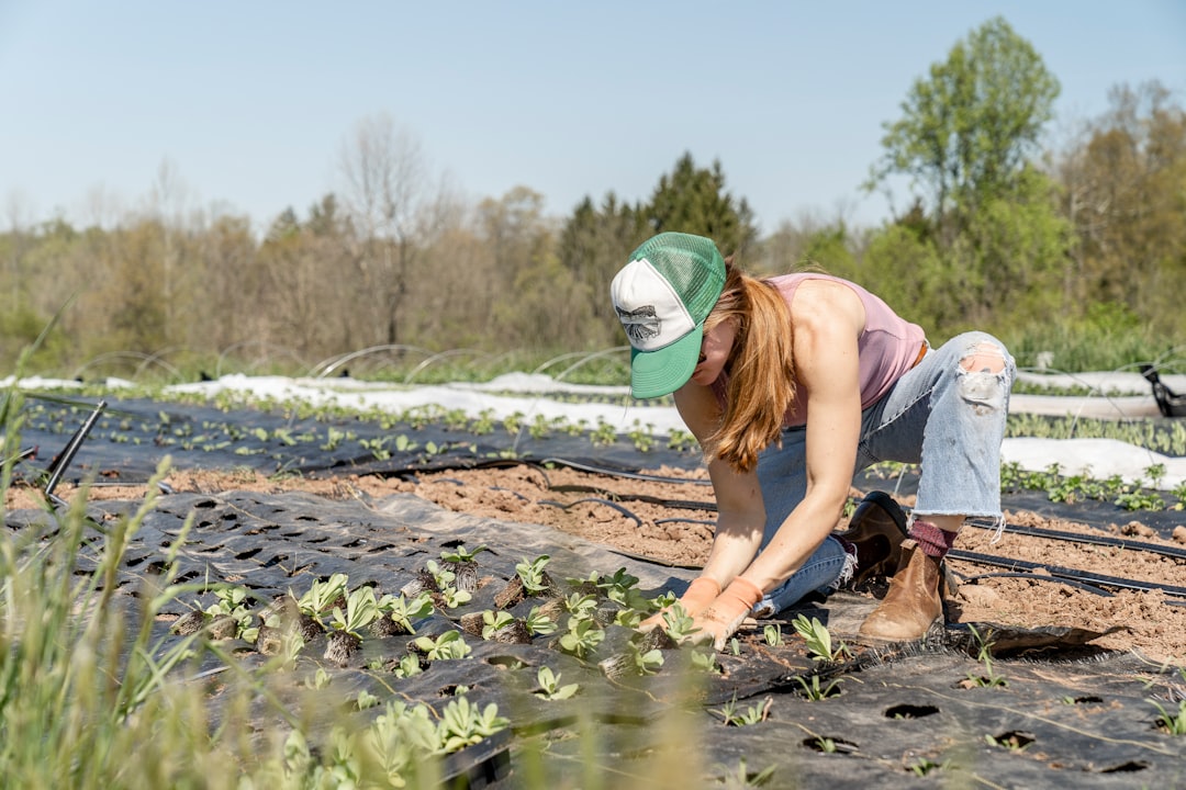Planting