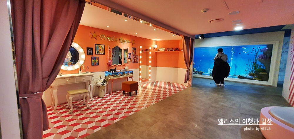 부산 실내 전시관 가볼만한곳 BEST 10