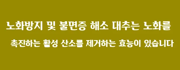 노화방지 및 불면증 해소 대추는 노화를 촉진하는 활성 산소를 제거하는 효능이 있습니다