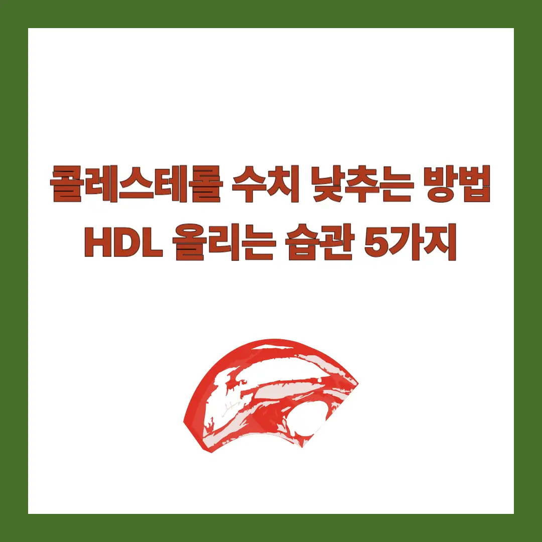 콜레스테롤-수치