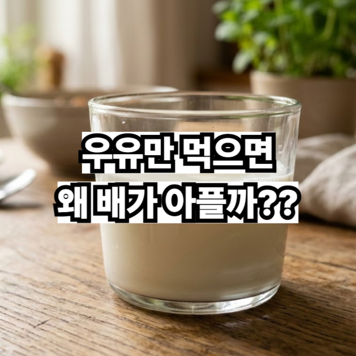 우유만먹으면왜배가아플까