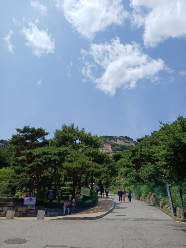 인왕산 등산로 초입