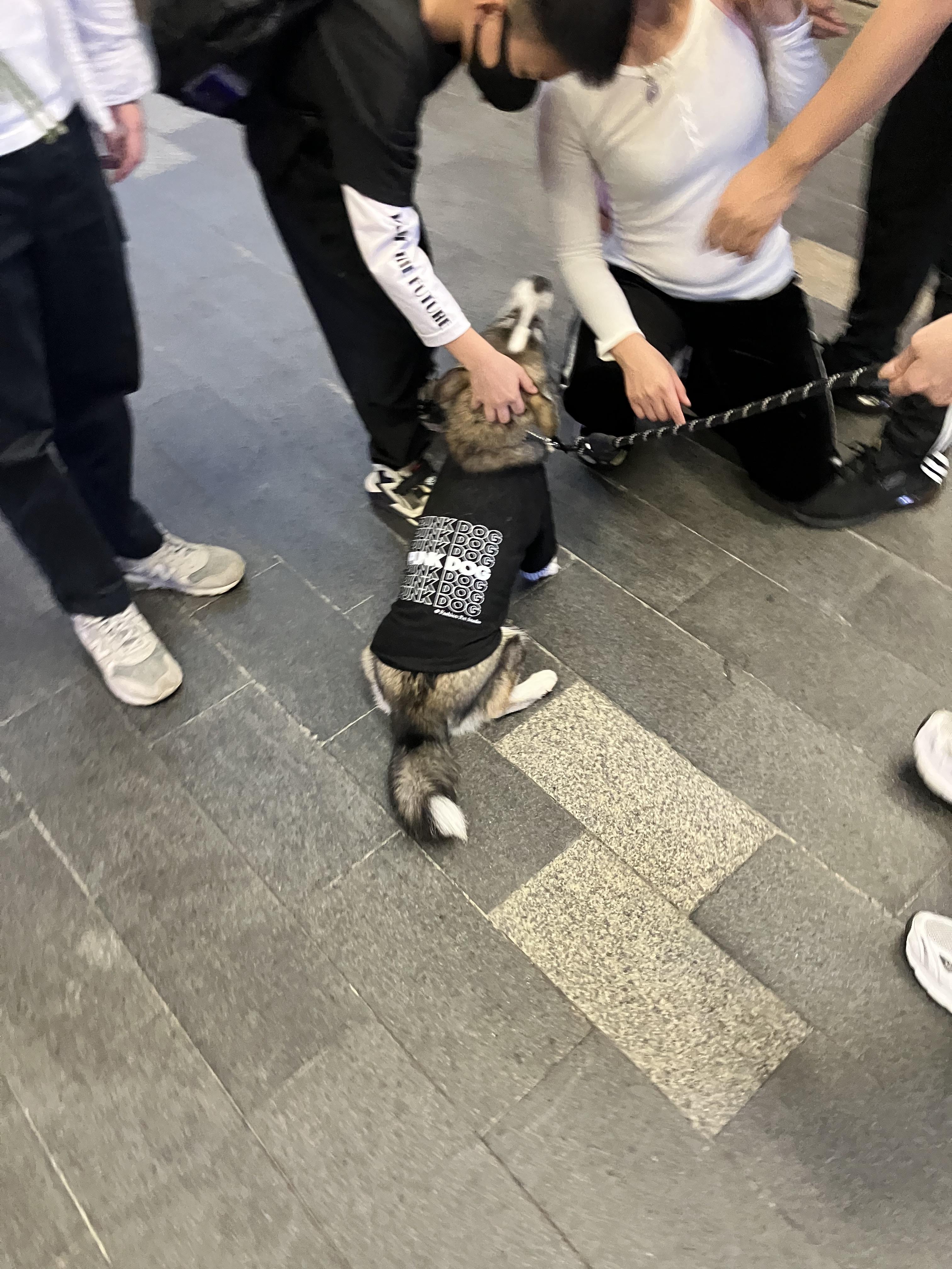 중국주하이 玖洲道 번화가