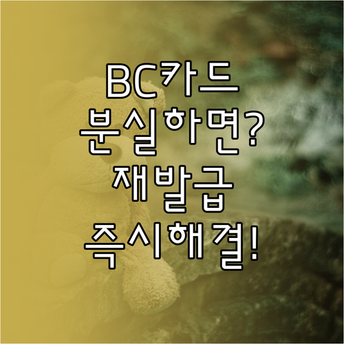 BC카드 분실신고 즉시 재발급 전화번..