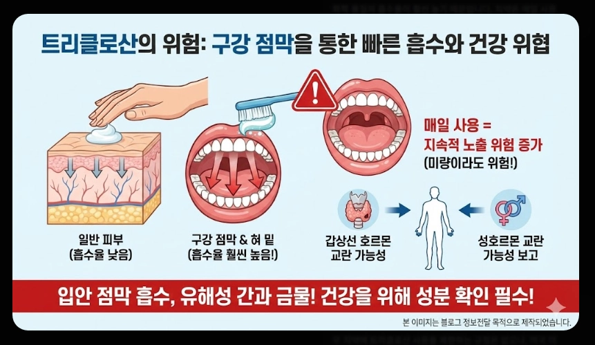 2080치약(트리클로산, 영향)(상세 확인 + 가이드)