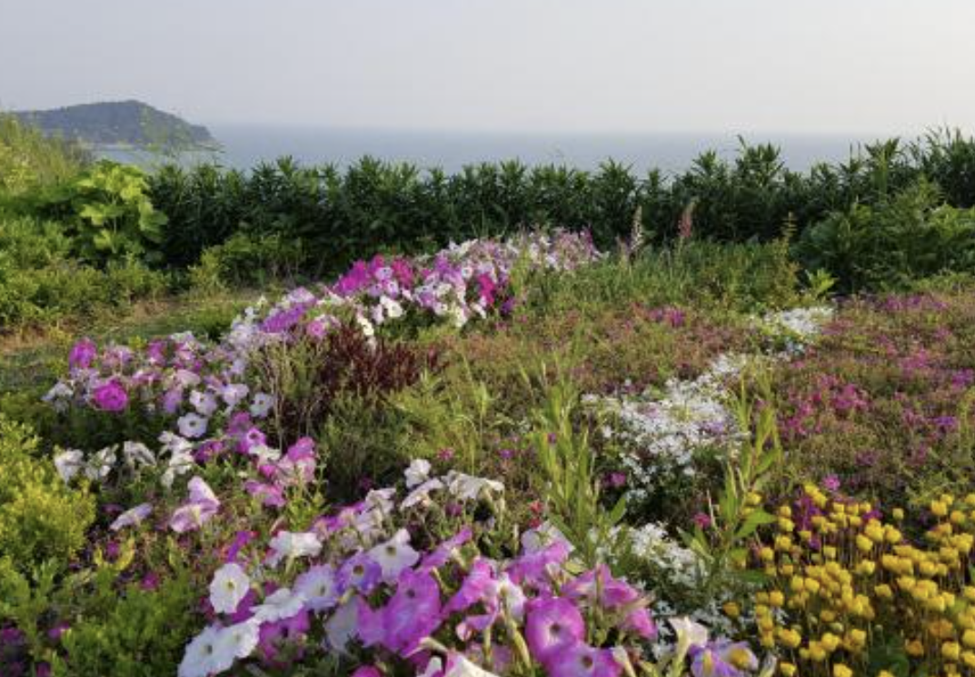 전남 고흥 쑥섬 전경