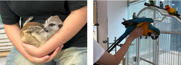 만지기 체험, 동물은 스트레스를 견딘다