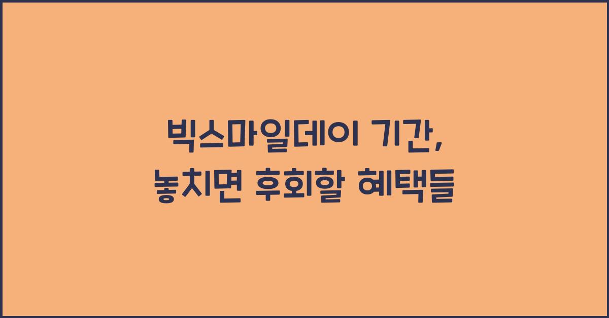 빅스마일데이 기간