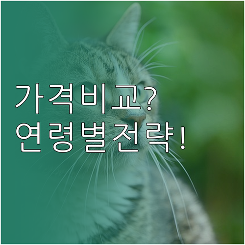 고양이 보험 가격 비교 및 연령별 가..