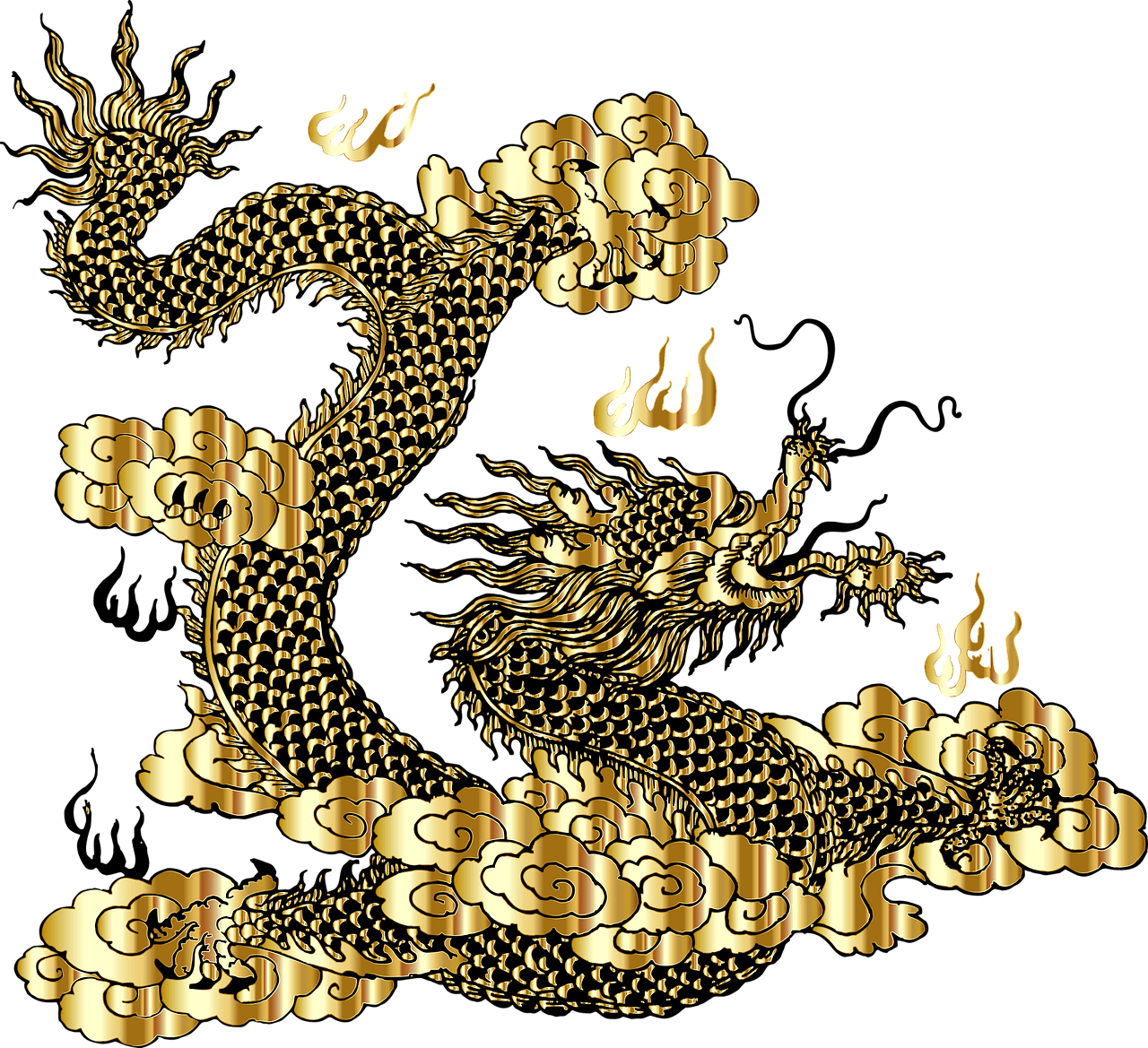  용의해 용띠운세